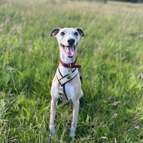 Sitting tall with a huge grin