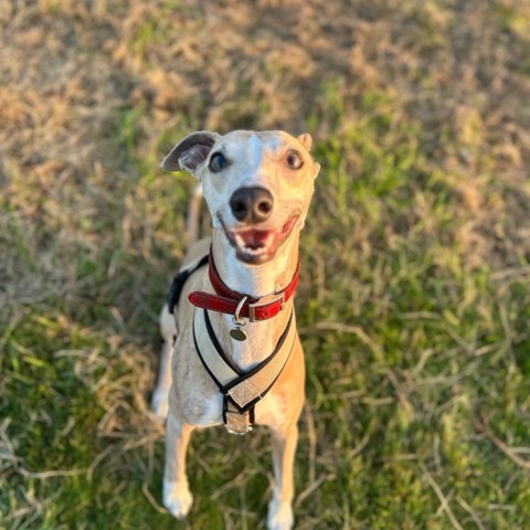 Looking up with a big smile